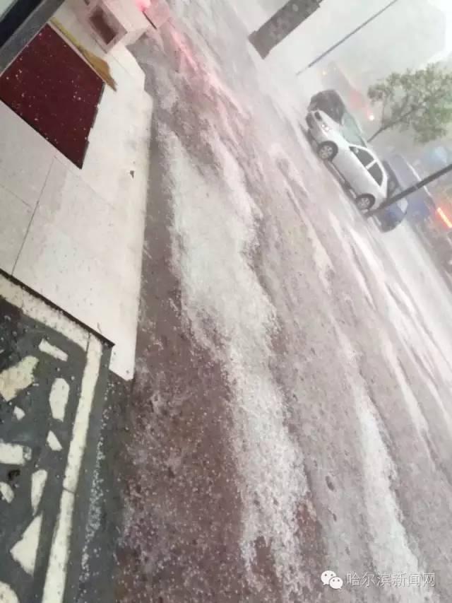 暴雨狂雹突袭哈尔滨 街道成