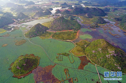 图片默认标题_fororder_1124846622_15651420088081n