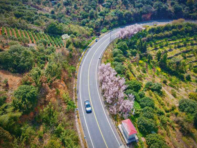 無錫濱湖：春到馬山 定格美妙時光