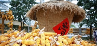 Henan Province Holds the 2020 Chinese Peasants' Harvest Festival in Xijiangzhai Village, Xiangfu District, Kaifeng City