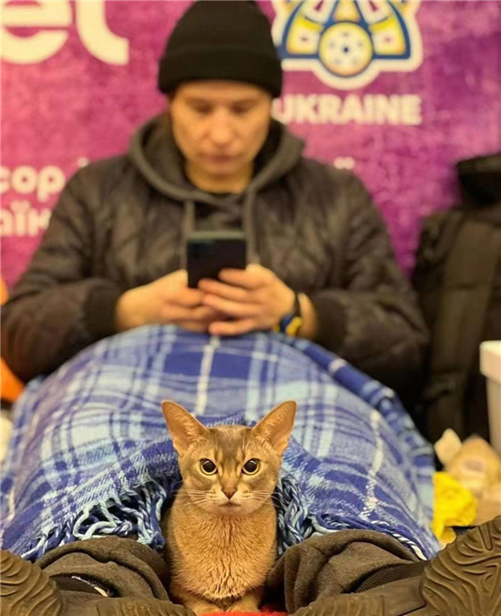 在基辅地铁站避难的宠物_fororder_4