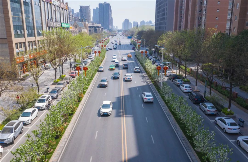 图片默认标题_fororder_图片1