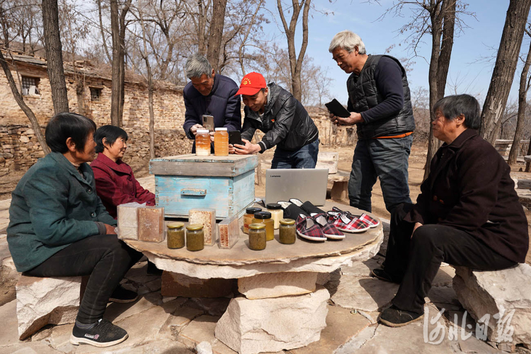 河北沙河：党员志愿者山村培训电商知识