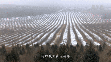 代表委员数说家乡丨近两年零火情！这里的森林草原全方位网格化管理！