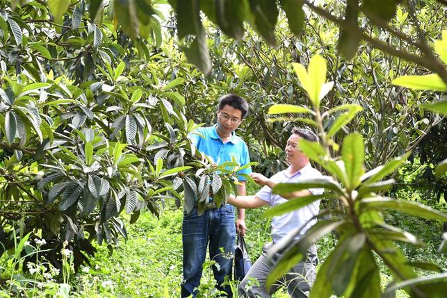 “接棒”黃文秀的第一書記:代她走完扶貧“長征路”