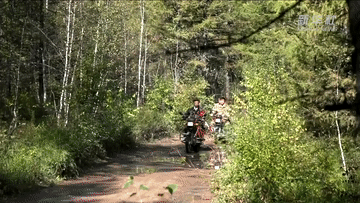 代表委员数说家乡丨近两年零火情！这里的森林草原全方位网格化管理！