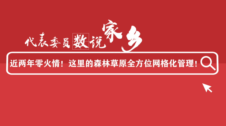 代表委员数说家乡丨近两年零火情！这里的森林草原全方位网格化管理！