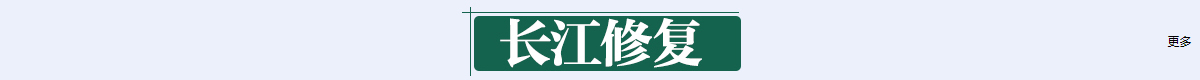 長江修復 banner_fororder_1675bdee6a0e6294b7dfd3dc3fde534