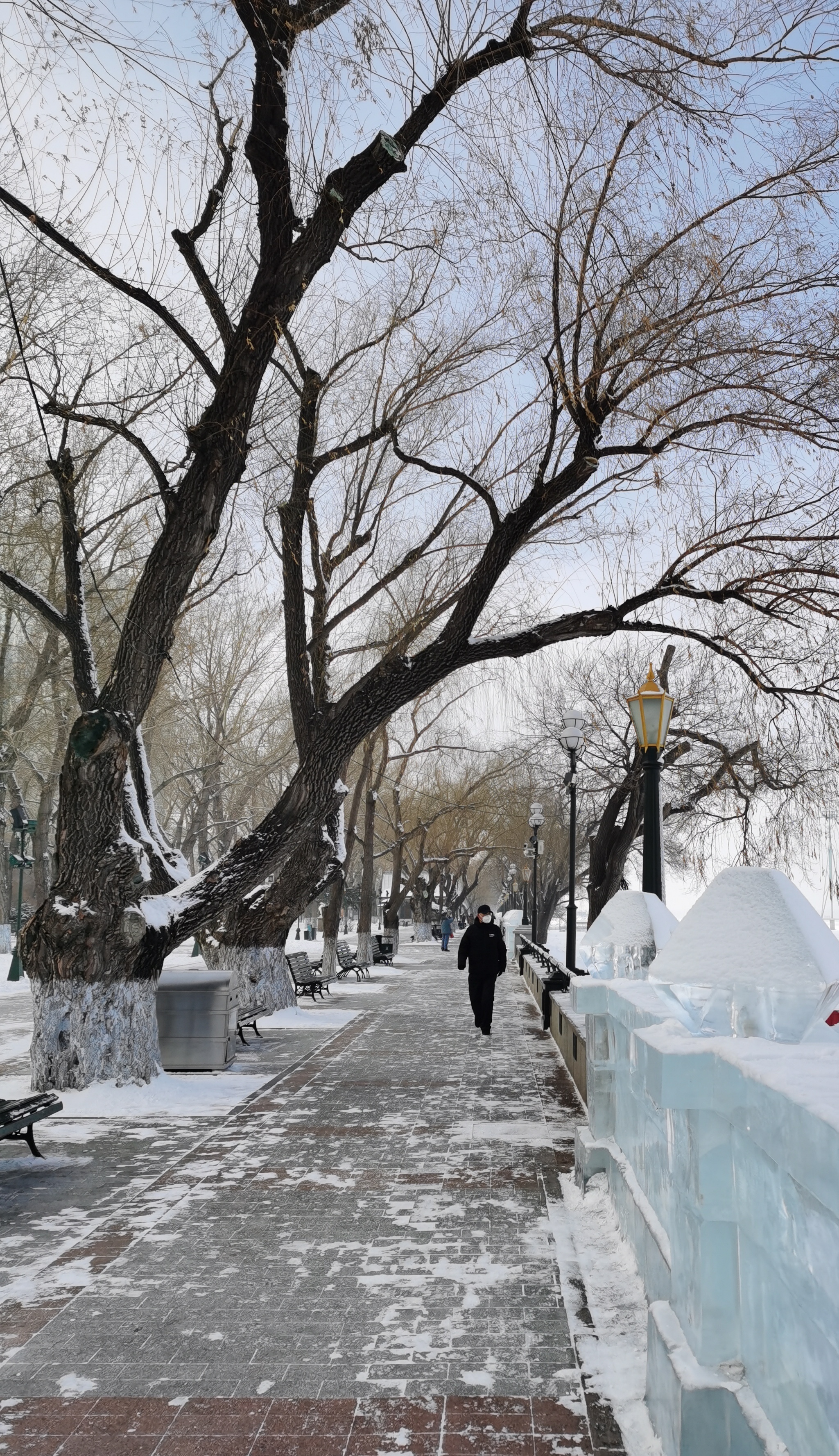 雪後哈爾濱格外的美