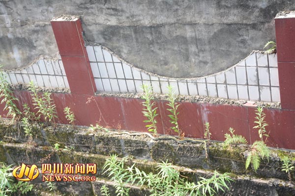 1.7米长蛇爬上学校墙墩 蓬溪消防成功处置(图)