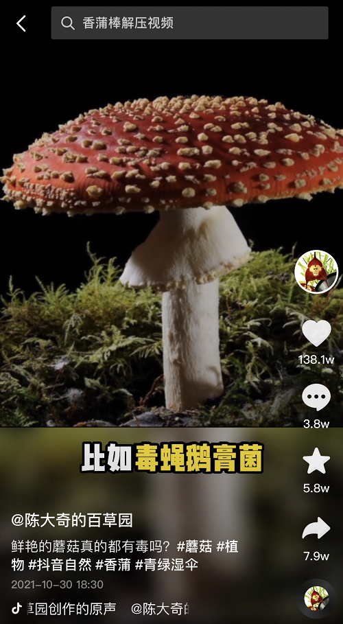 95后抖音博主科普植物半年获600万点赞_fororder_蘑菇1