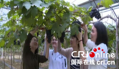 图片默认标题 图片默认标题_fororder_fdhvhs