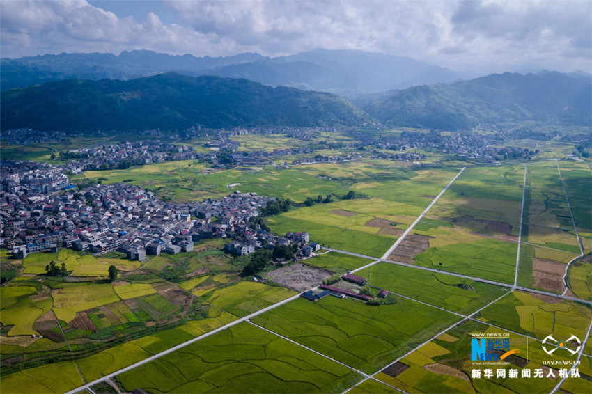 图片默认标题_fororder_9