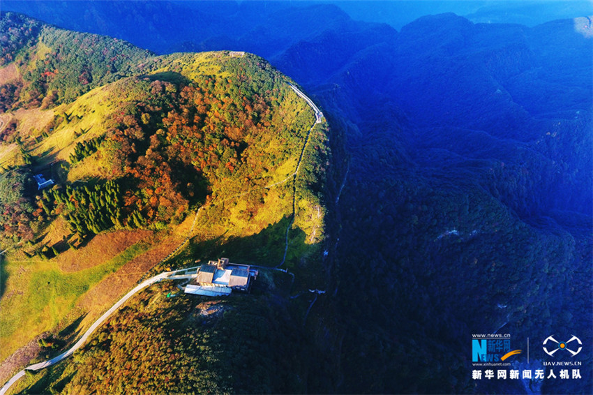 图片默认标题 图片默认标题_fororder_11