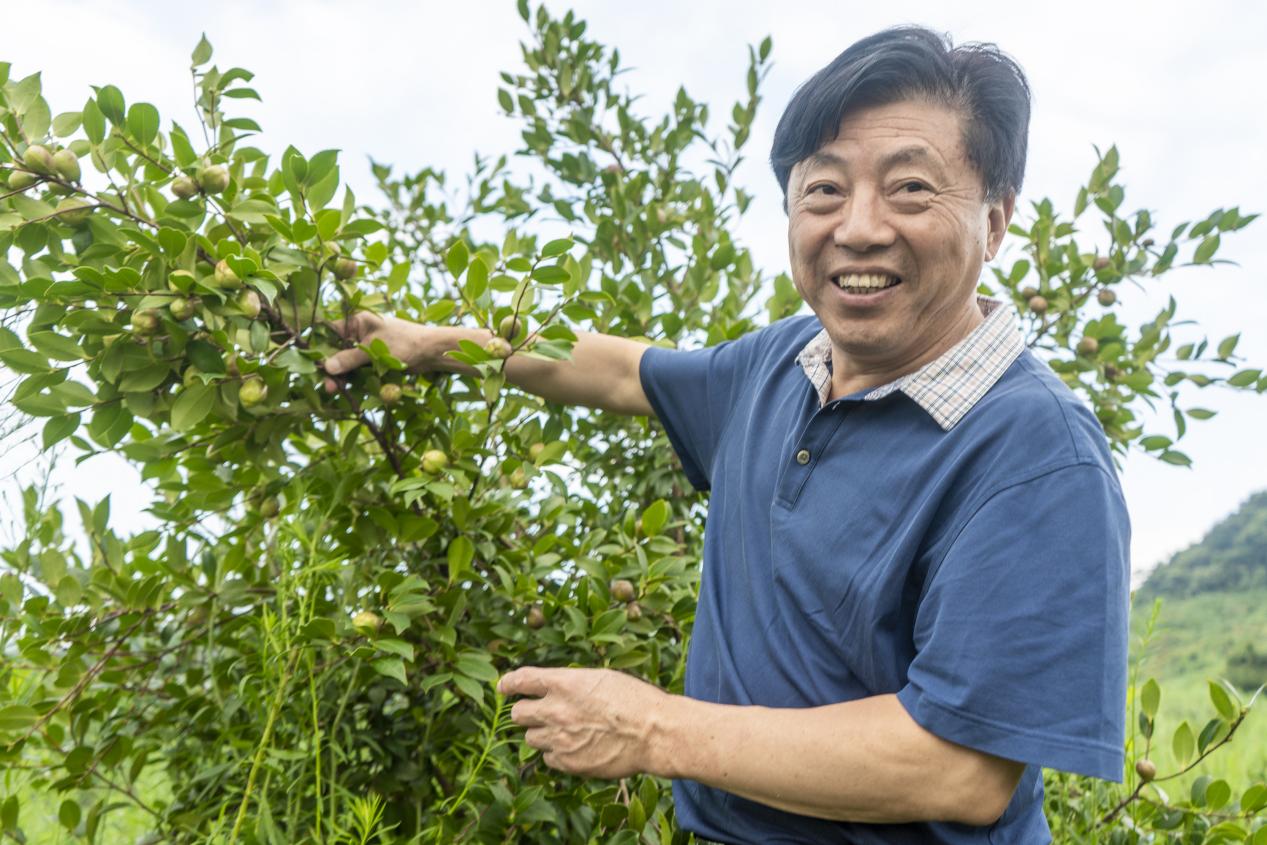 【总书记与代表委员们的暖心事儿】“油茶产业真正把荒山变成‘金山银山’”_fororder_图片1