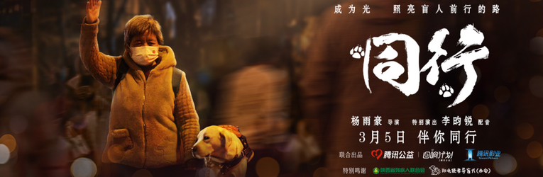 騰訊公益攜手騰訊影業“小紅花迴響光影錄”發佈新作——導盲犬公益短片《同行》_fororder_1