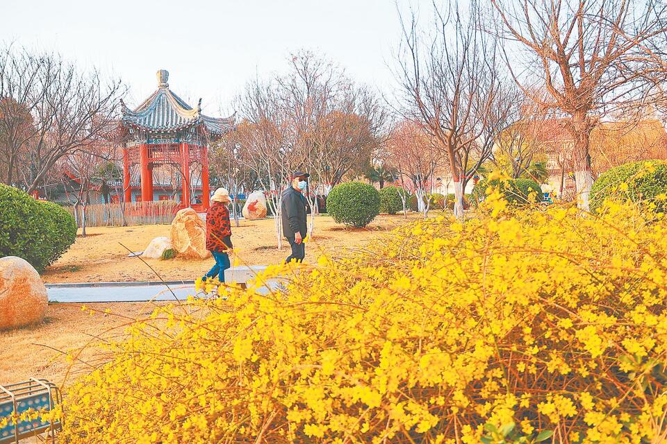 河南开封：春暖花开日 赏花正当时