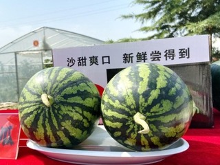 В китайском Дали отмечают богатый урожай_fororder_微信图片_20200710135740