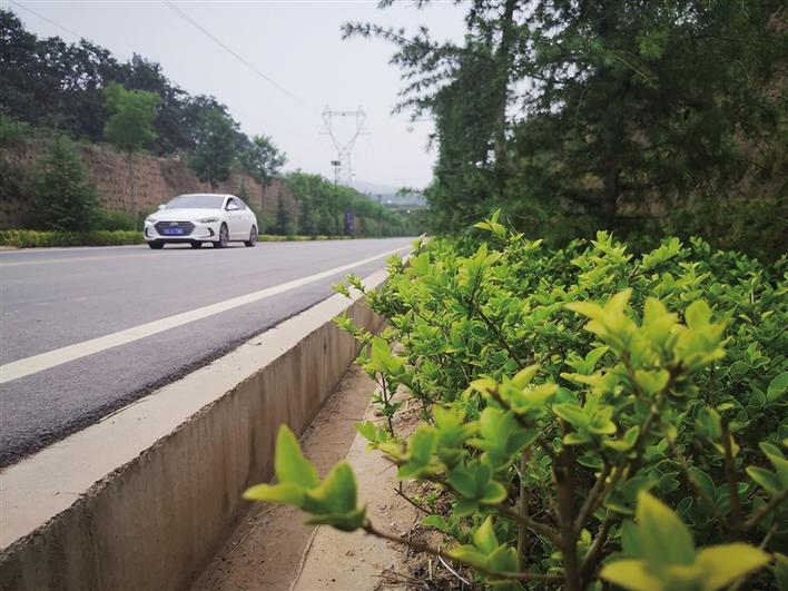 銅川：“四好農村路” 串起沿途好風景