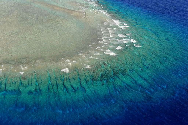 南沙群岛是我国分布面积最广,岛礁数量最多的群岛,也是个迷人的世界.