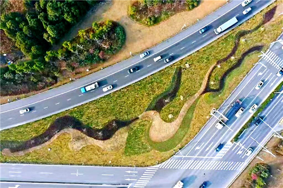 蘇相合作區城市道路綠化提升改造景觀“上新” 通行道路彰顯城市之美_fororder_圖片3
