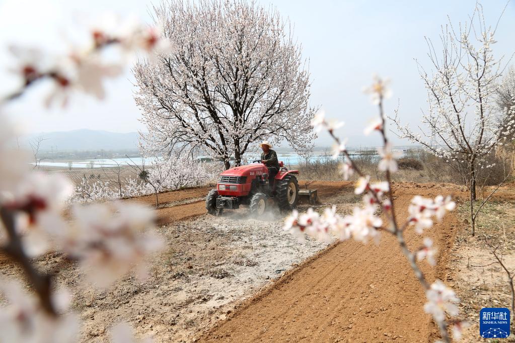 陇原大地春耕忙_fororder_1