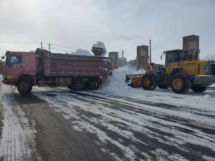 富锦市：积极应对降雪保农业设施安全