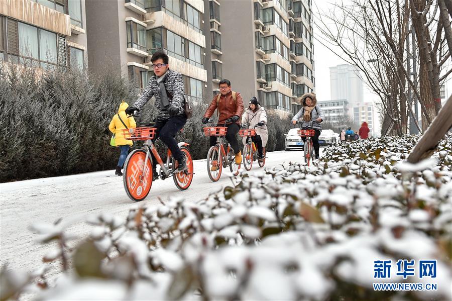 图片默认标题_fororder_1122210363_15150508297091n (1)