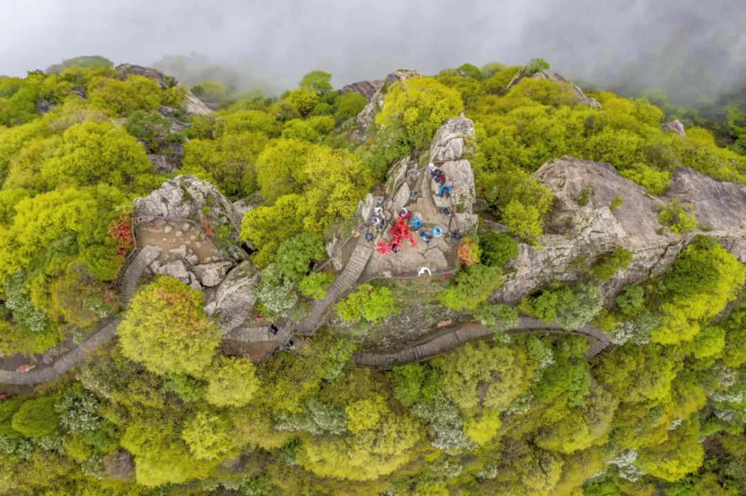 （转载）这里的“仙境”，美上热搜！