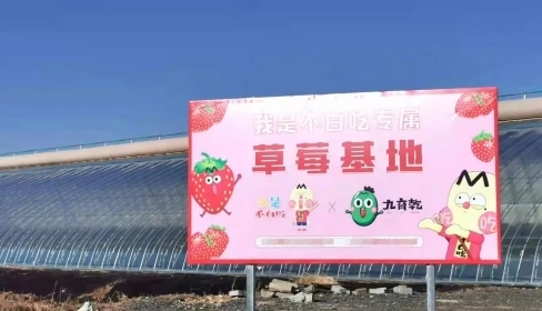 实现一个亿的小目标后 我是不白吃进军线下市场