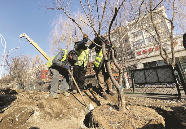 齐齐哈尔：市城管局园林绿化中心春季绿化补植工作全面开展