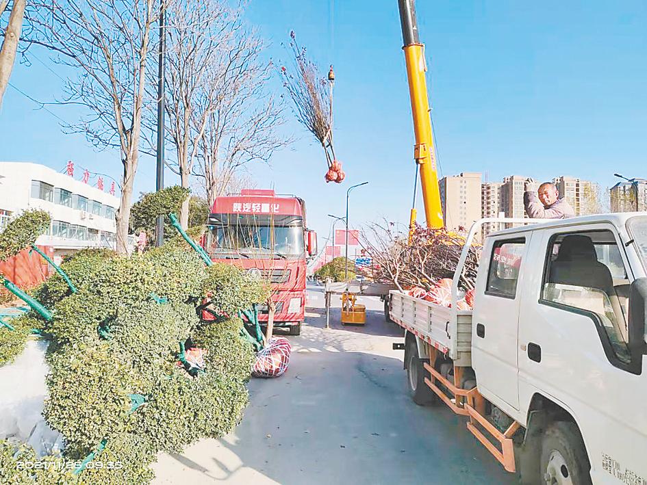 “绣花”建设大园林 雕琢生态开封城