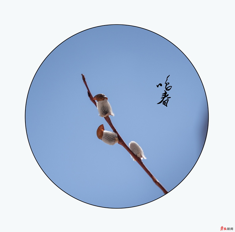牡丹峰探春