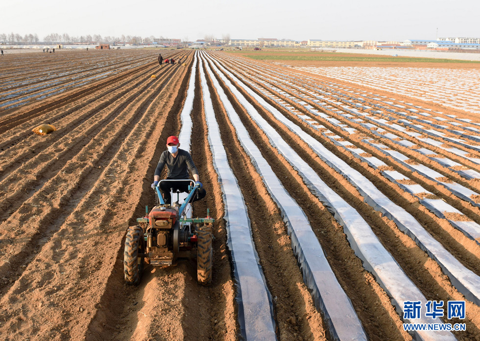 山東膠州:驚蟄過後春耕忙