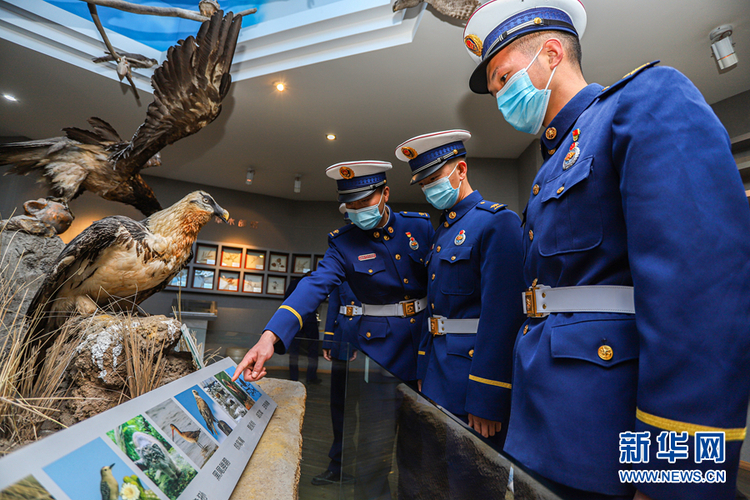 甘肃张掖：森林消防守护鸟类家园