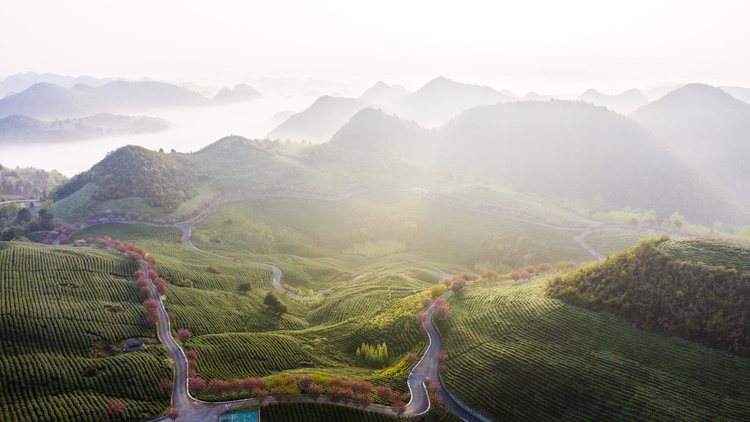 黔南惠水漫天星河落茶山