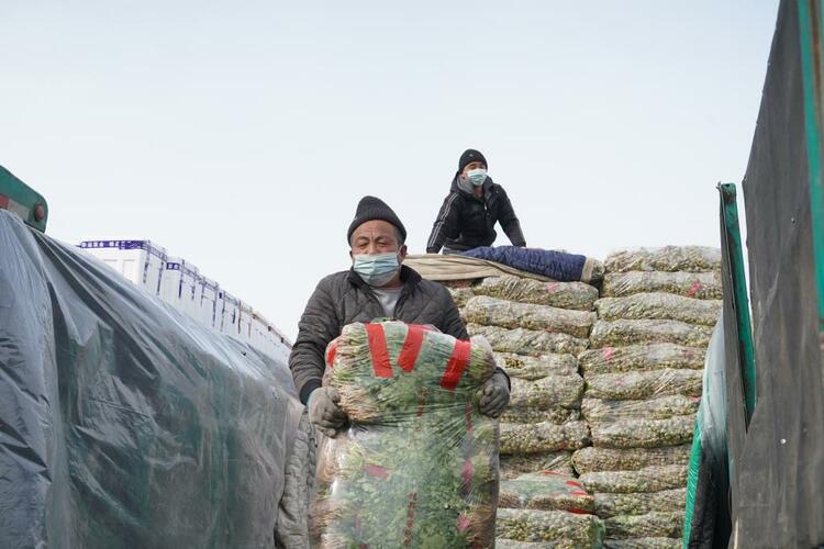 黑龍江省最大“菜籃子”因疫情停擺，民眾需求如何保障？