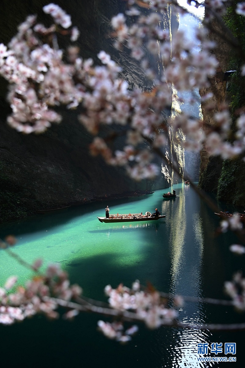 湖北鶴峰：峽谷春色醉遊人