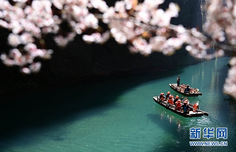 湖北鶴峰：峽谷春色醉遊人