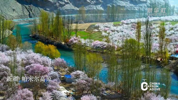 瞰中国·春回大地｜新疆：帕米尔高原迎来最美杏花季