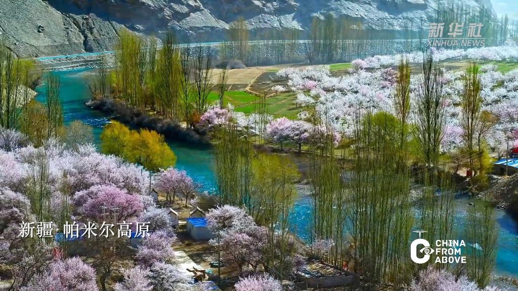 瞰中國·春回大地｜新疆：帕米爾高原迎來最美杏花季