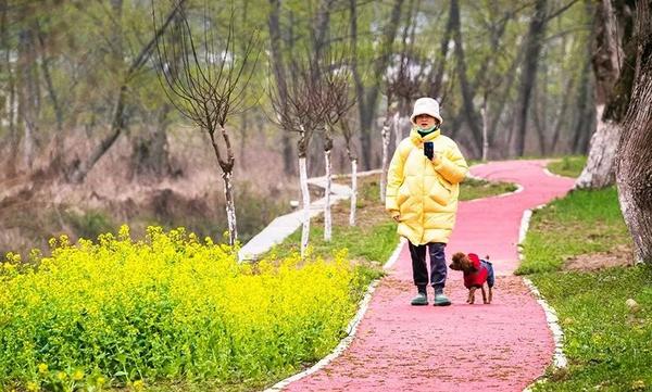 信阳罗山：红色旅游线路 串起美丽风景