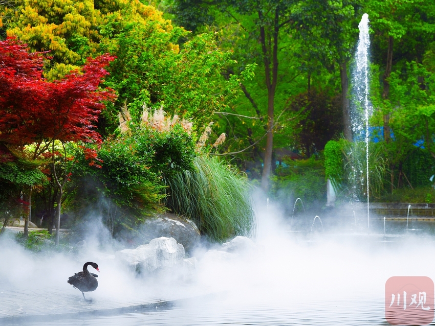 （中首）成都动物园鹤馆改造 群鹤开始大搬家