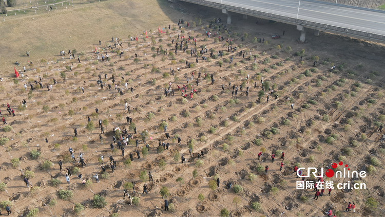 共建綠色秦東 渭南市開展2022年春季義務植樹活動_fororder_WechatIMG2455 (3)