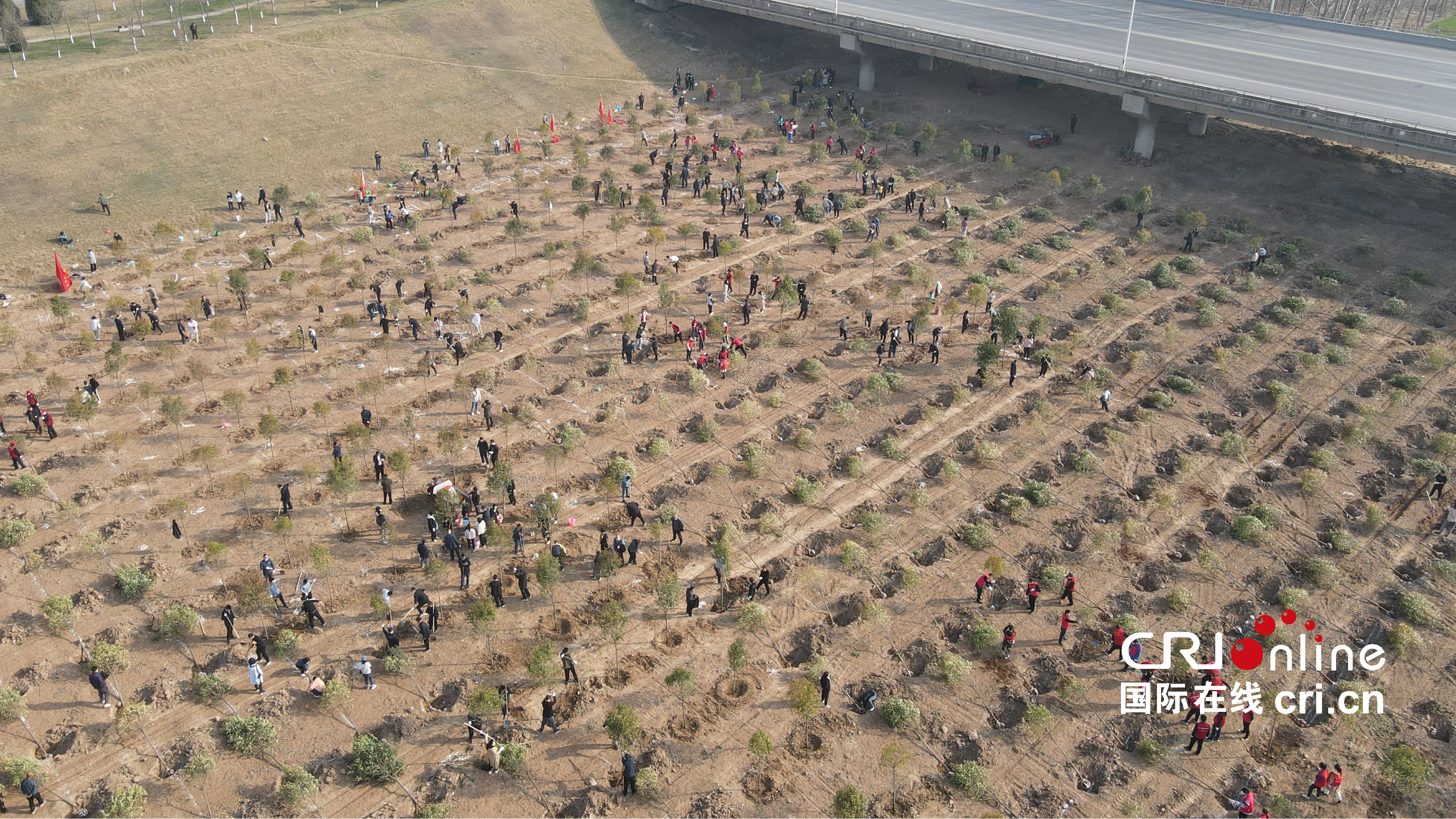 共建綠色秦東 渭南市開展2022年春季義務植樹活動_fororder_WechatIMG2455 (3)