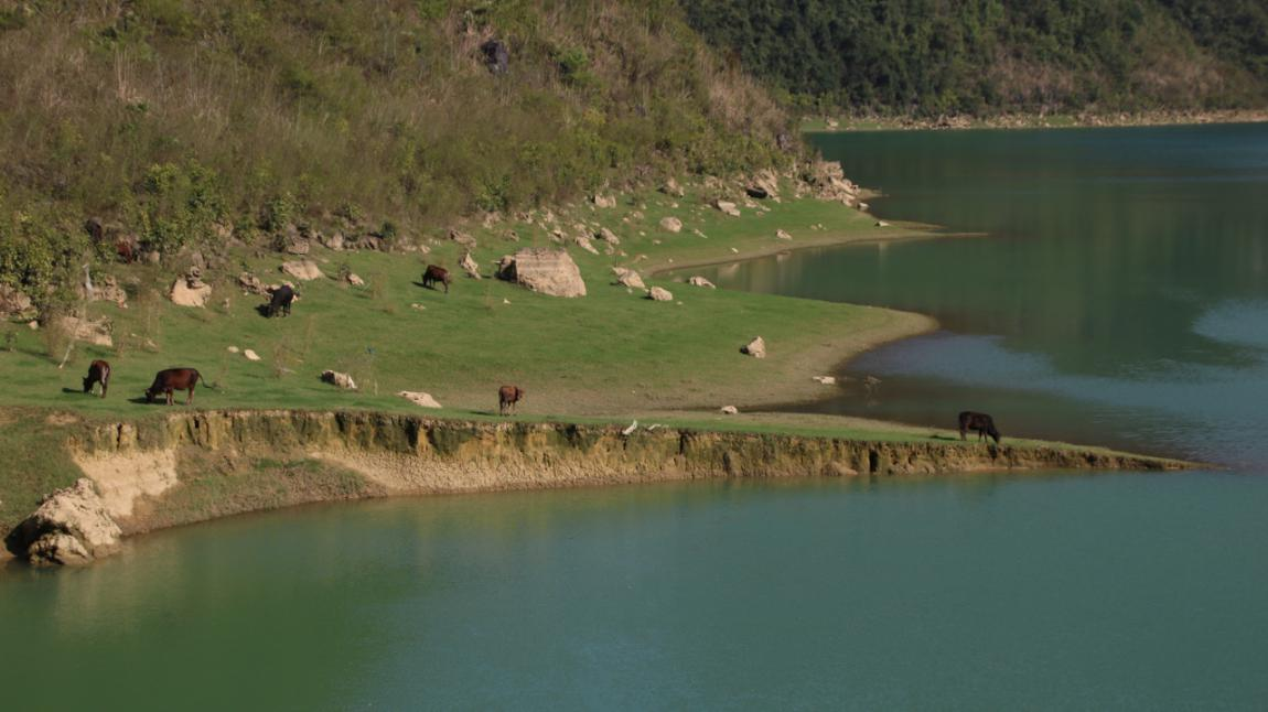 【B】【与春天撞个满怀 打卡最美春景】广西隆安：更望湖三月春色美 踏青赏景好去处_fororder_图片 10