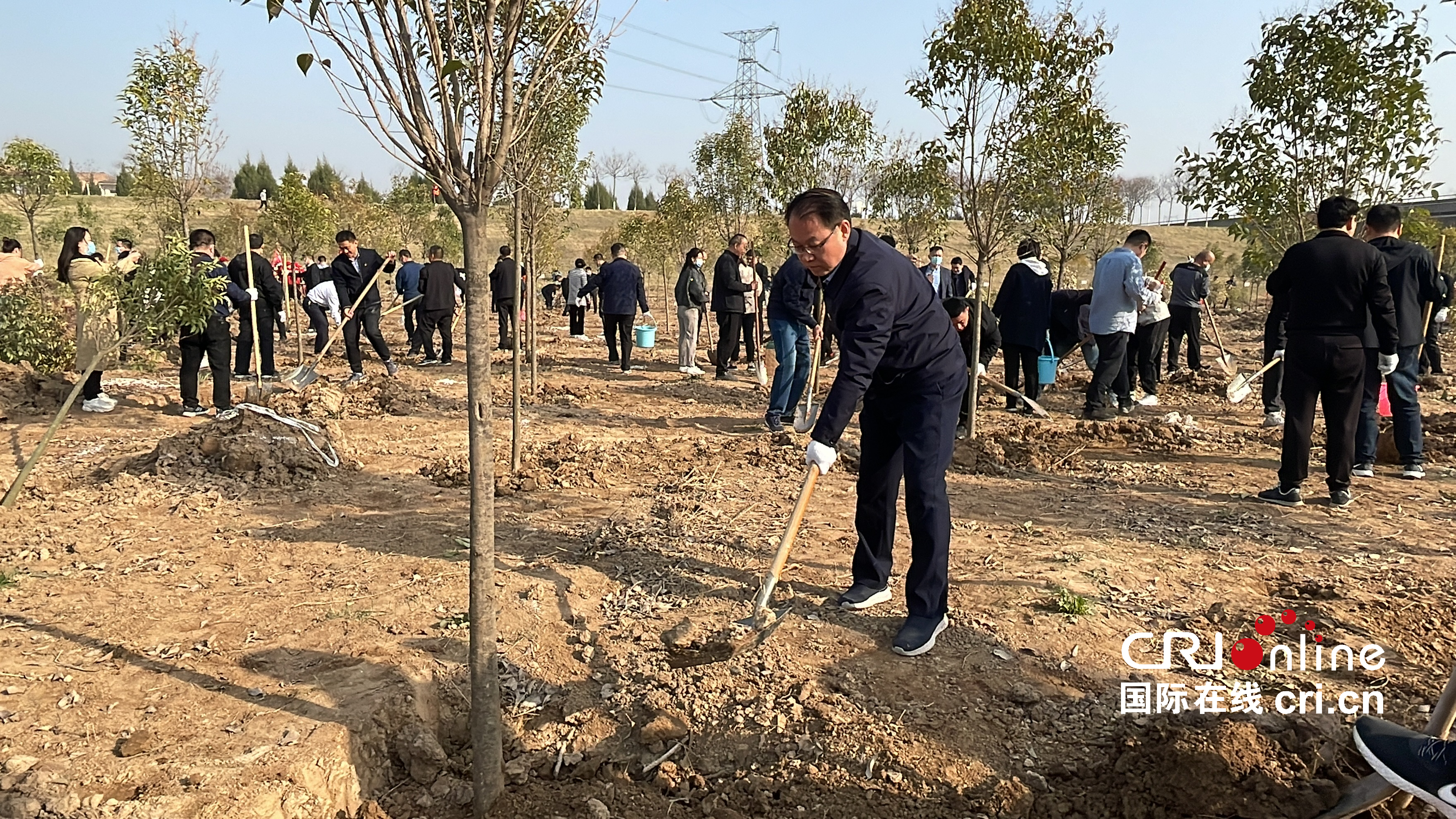 共建綠色秦東 渭南市開展2022年春季義務植樹活動_fororder_WechatIMG2455