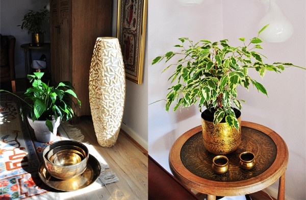 丹麦普通人5年积蓄买豪宅 无敌环境令人震惊