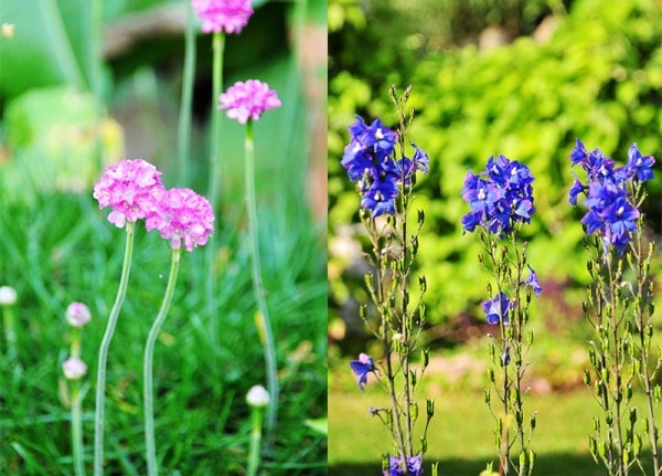 丹麦普通人5年积蓄买豪宅 无敌环境令人震惊