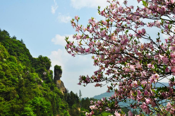 【原创】重庆石柱举行春季旅游发布会_fororder_图片2